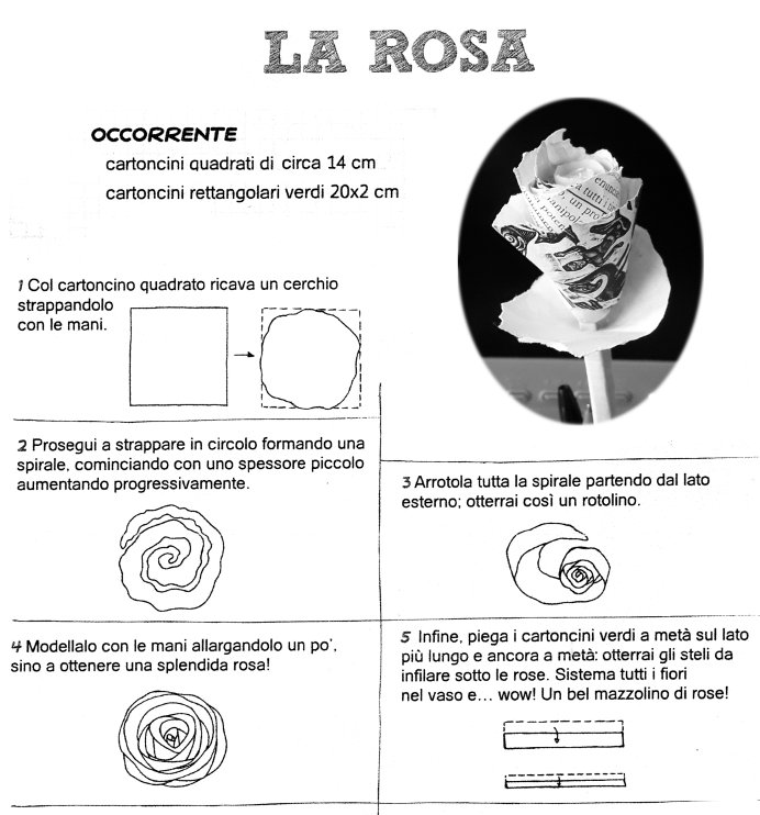 rosa